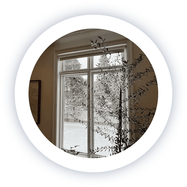 Sunlit interior at Lite Medical in Edina Minnesota, featuring large windows, natural light, and indoor plants creating a calm, welcoming atmosphere.